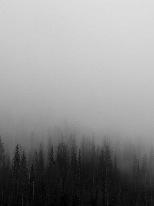 오메가3 120캡슐